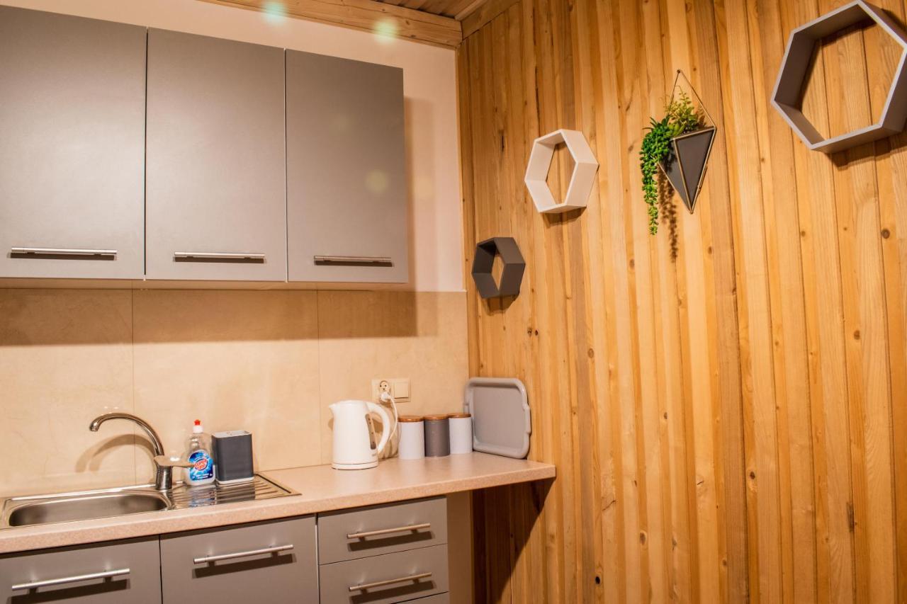 Apartamenty Dwupoziomowe U Ciotki مورزاسيخله المظهر الخارجي الصورة